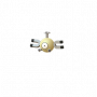 pokemon:shiny:081.png